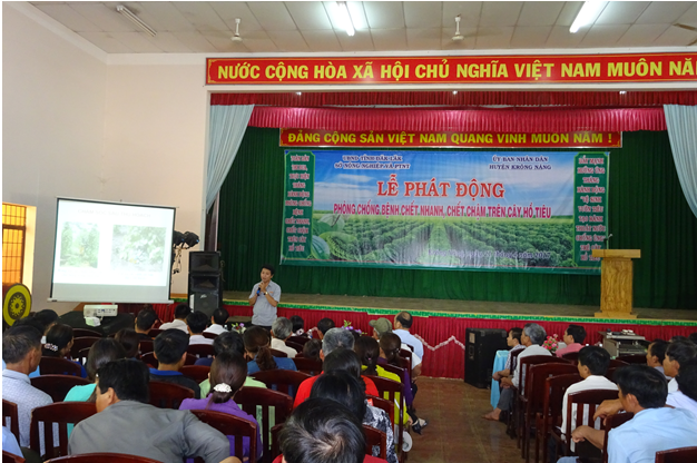 Huyện Krông Năng tổ chức Lễ phát động phòng chống bệnh chết nhanh, chết chậm trên cây hồ tiêu